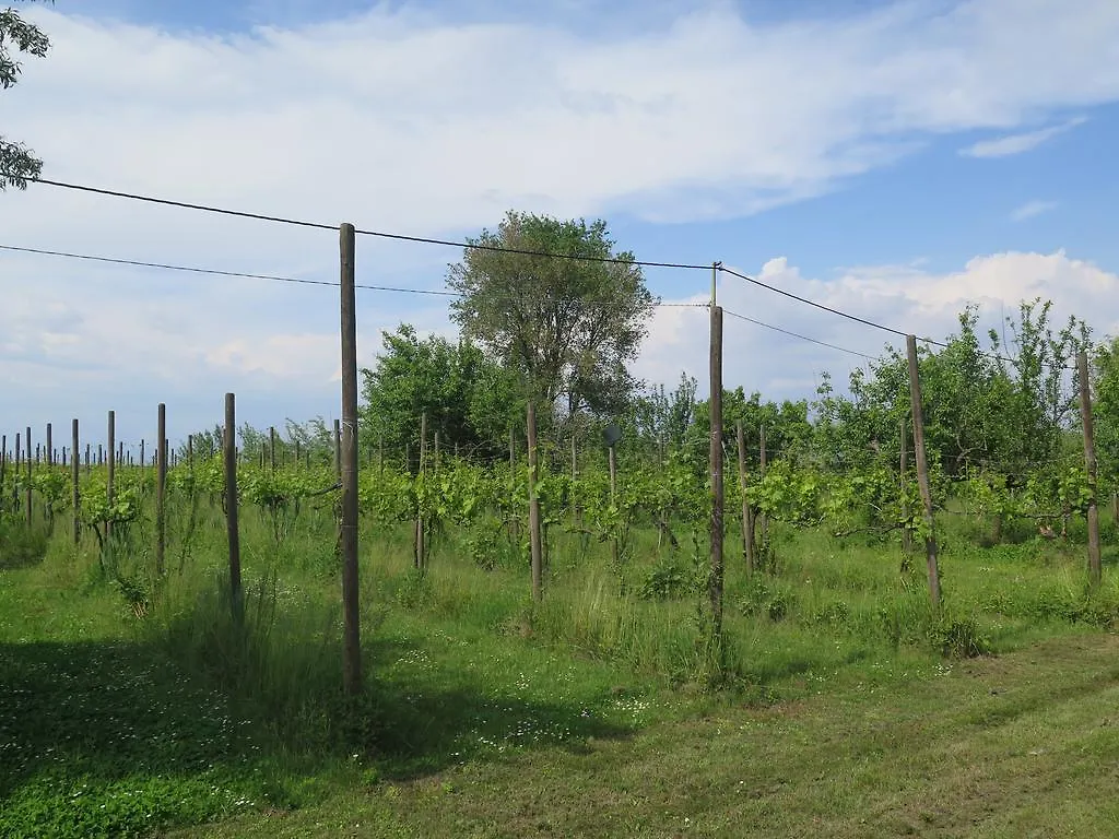 Tenuta Lio Maggiore Lido di Jesolo Appartamento